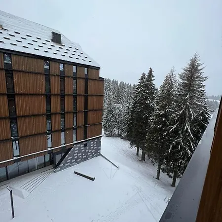 Woodside 430 Apartment Kopaonik